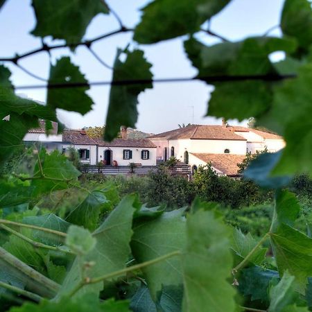 Casa Vacanze Etna Piedimonte Etneo Extérieur photo