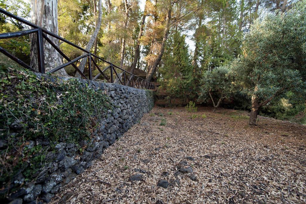 Casa Vacanze Etna Piedimonte Etneo Extérieur photo