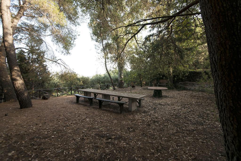Casa Vacanze Etna Piedimonte Etneo Extérieur photo