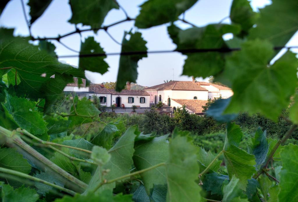 Casa Vacanze Etna Piedimonte Etneo Extérieur photo