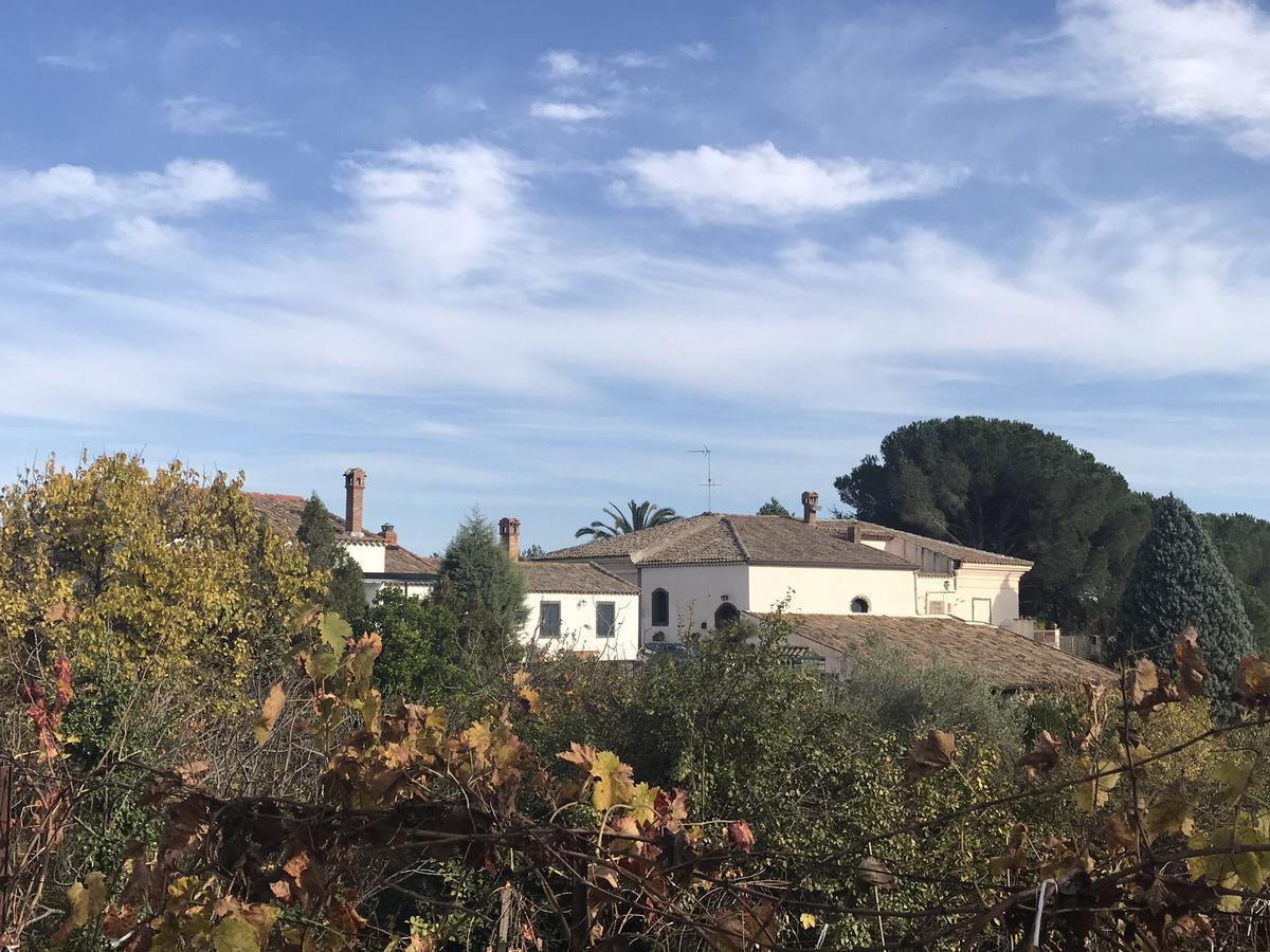 Casa Vacanze Etna Piedimonte Etneo Extérieur photo